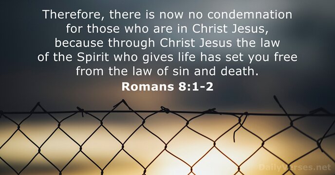 Travis Wilson Devotional Cover Image 58